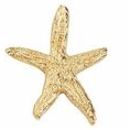 Starfish Stock Lapel Pin